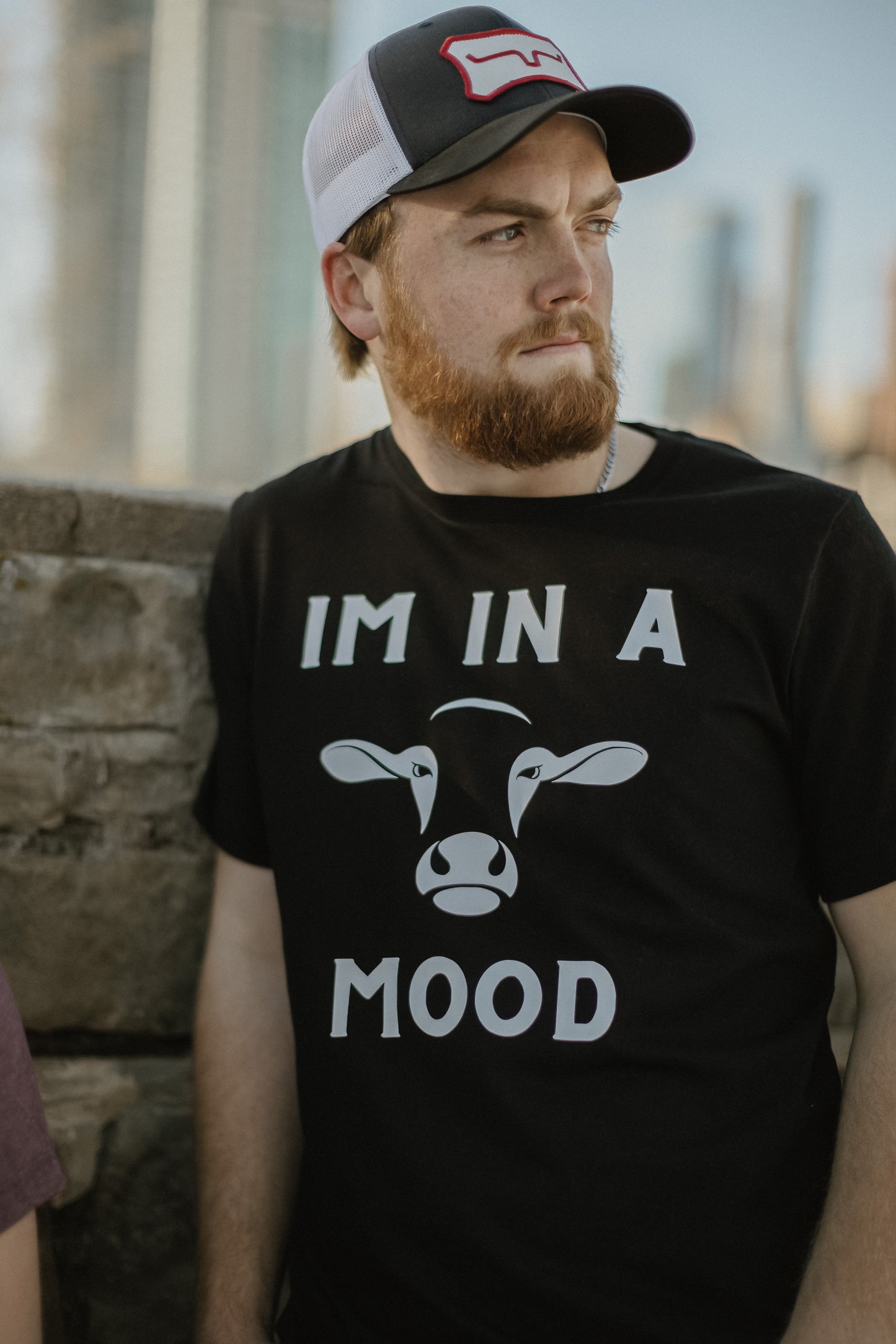 I'm In A Mood T-Shirt
